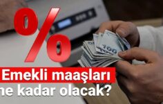 SSK, Bağ-Kur emekli maaşı zammı hesaplaması 2025: Enflasyon tahminine göre Temmuz’da emekli maaşları ne kadar olacak?