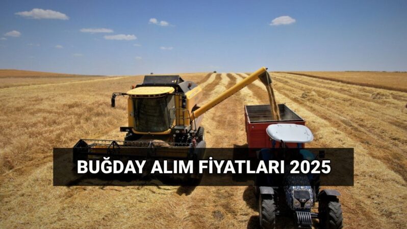 Hububat alım ücretleri ne zaman yatacak?2025 Buğday alım fiyatları:TMO makarnalık ve ekmeklik buğday, arpa ton başına ne kadar oldu?