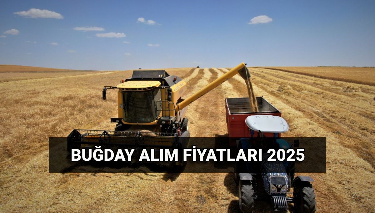 Hububat alım ücretleri ne zaman yatacak?2025 Buğday alım fiyatları:TMO makarnalık ve ekmeklik buğday, arpa ton başına ne kadar oldu?