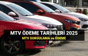 Bengisu Soylu ile Sektörden Notlar | Ayşe Fügen Arda