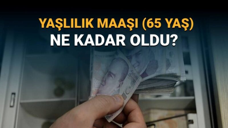 Temmuz zammıyla 65 yaş aylığı ne kadar oldu? Yaşlılık maaşında güncel rakam