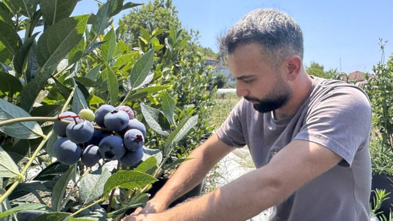 Tadını beğendi, üreticisi oldu